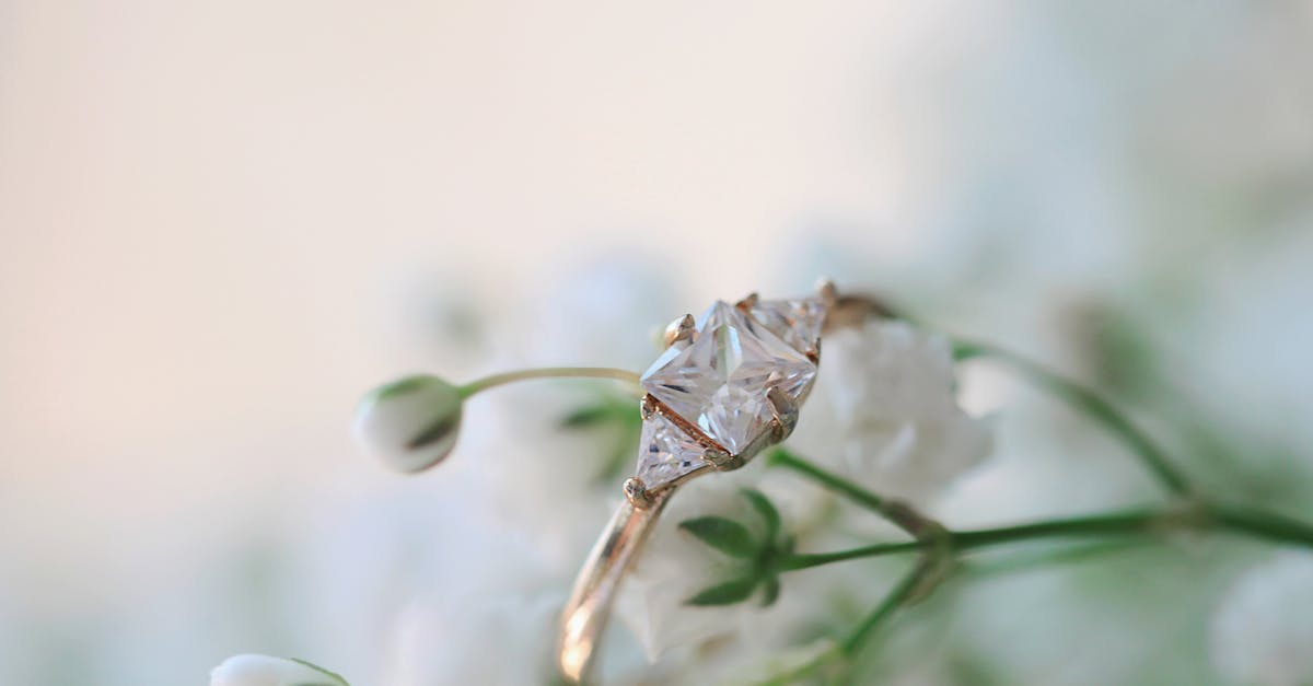 Budget-Friendly Options for Halo Princess Cut Engagement Rings